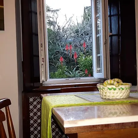 Casas Da Penalva Vakantiehuis