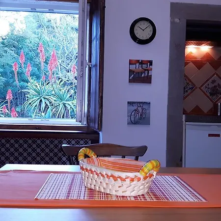 Casas Da Penalva Vakantiehuis