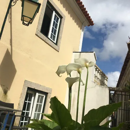 Casas Da Penalva Vakantiehuis